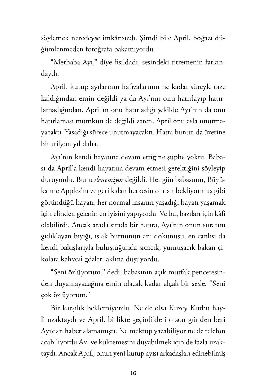 Ayı Dönüyor – Sayfa 6