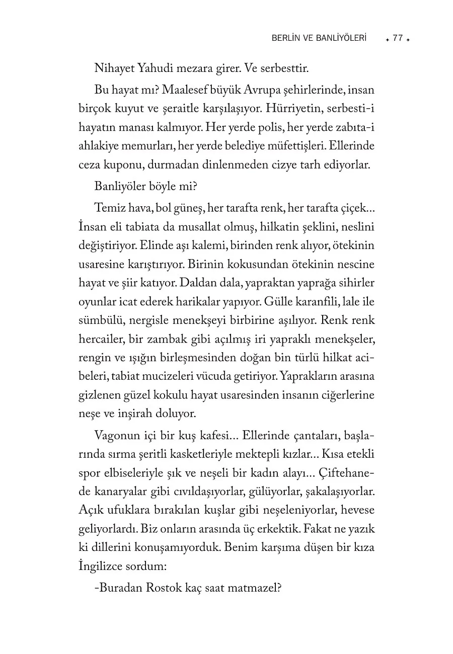 Avrupa Volkanı Patlamadan – Sayfa 4
