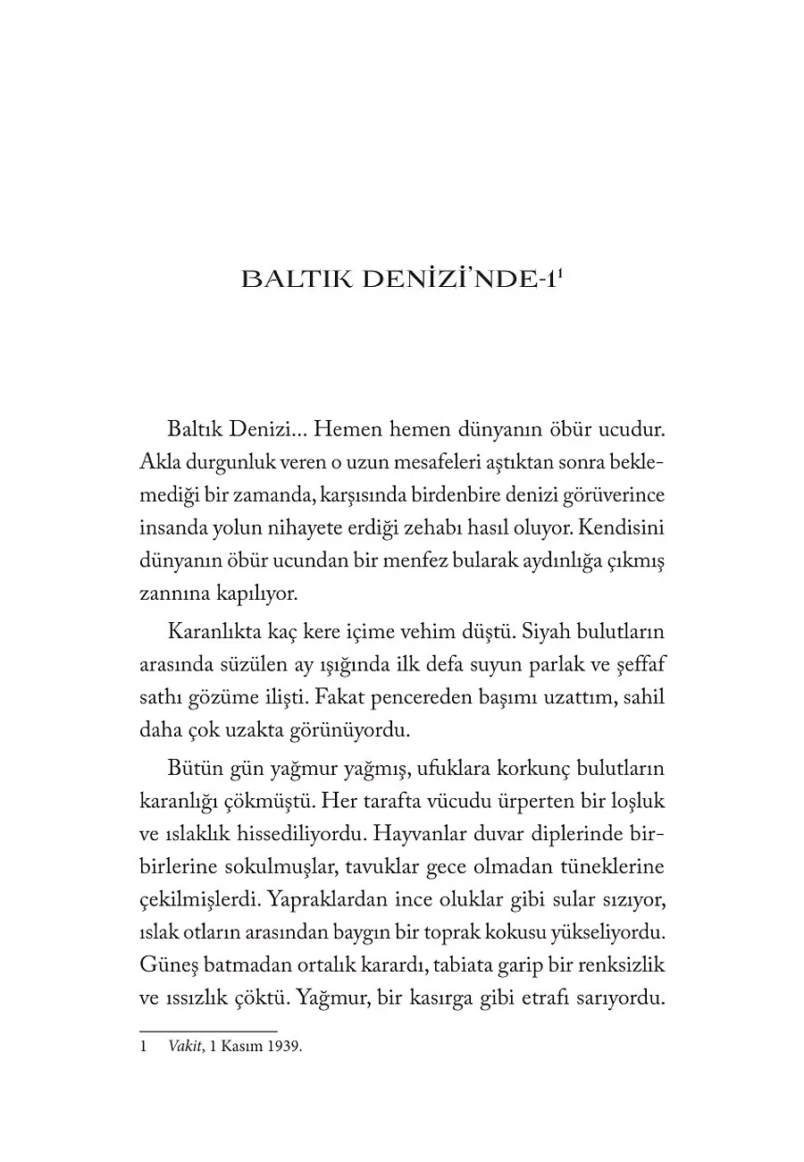 Avrupa Volkanı Patlamadan – Sayfa 6