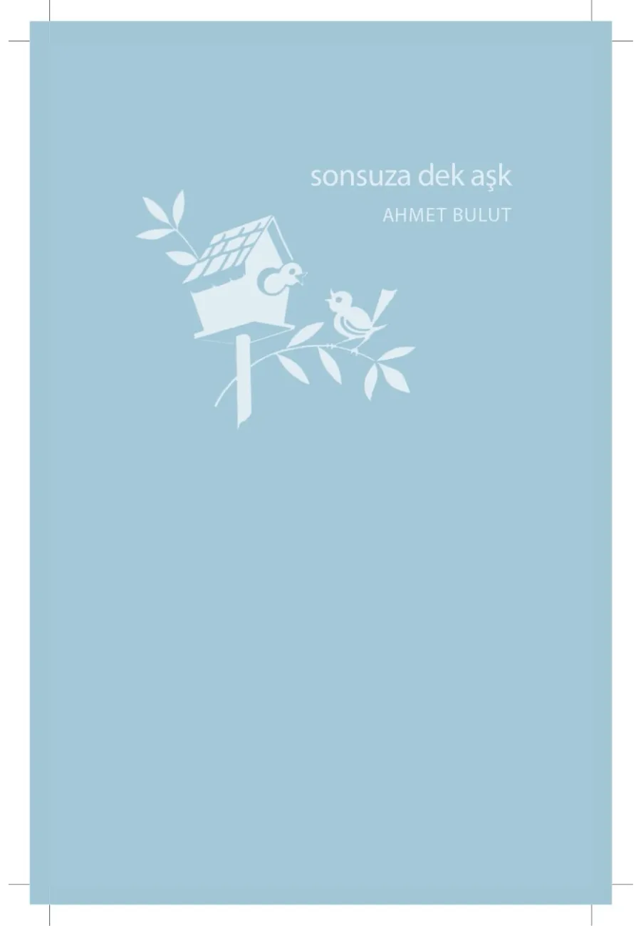 Aşkın Ev Hali – Sayfa 2