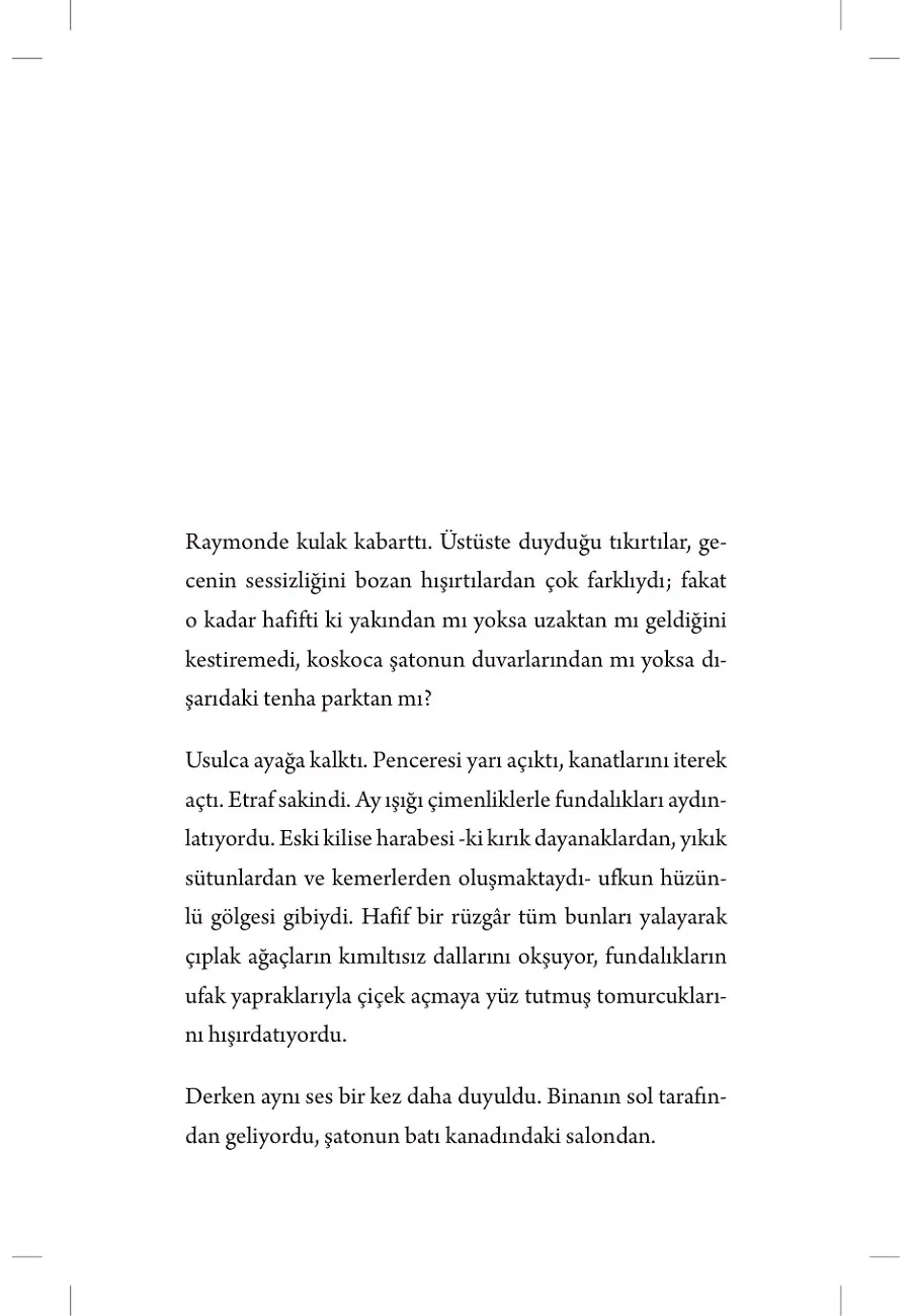 Arsen Lüpen - Oyuk İğnenin Esrarı – Sayfa 2