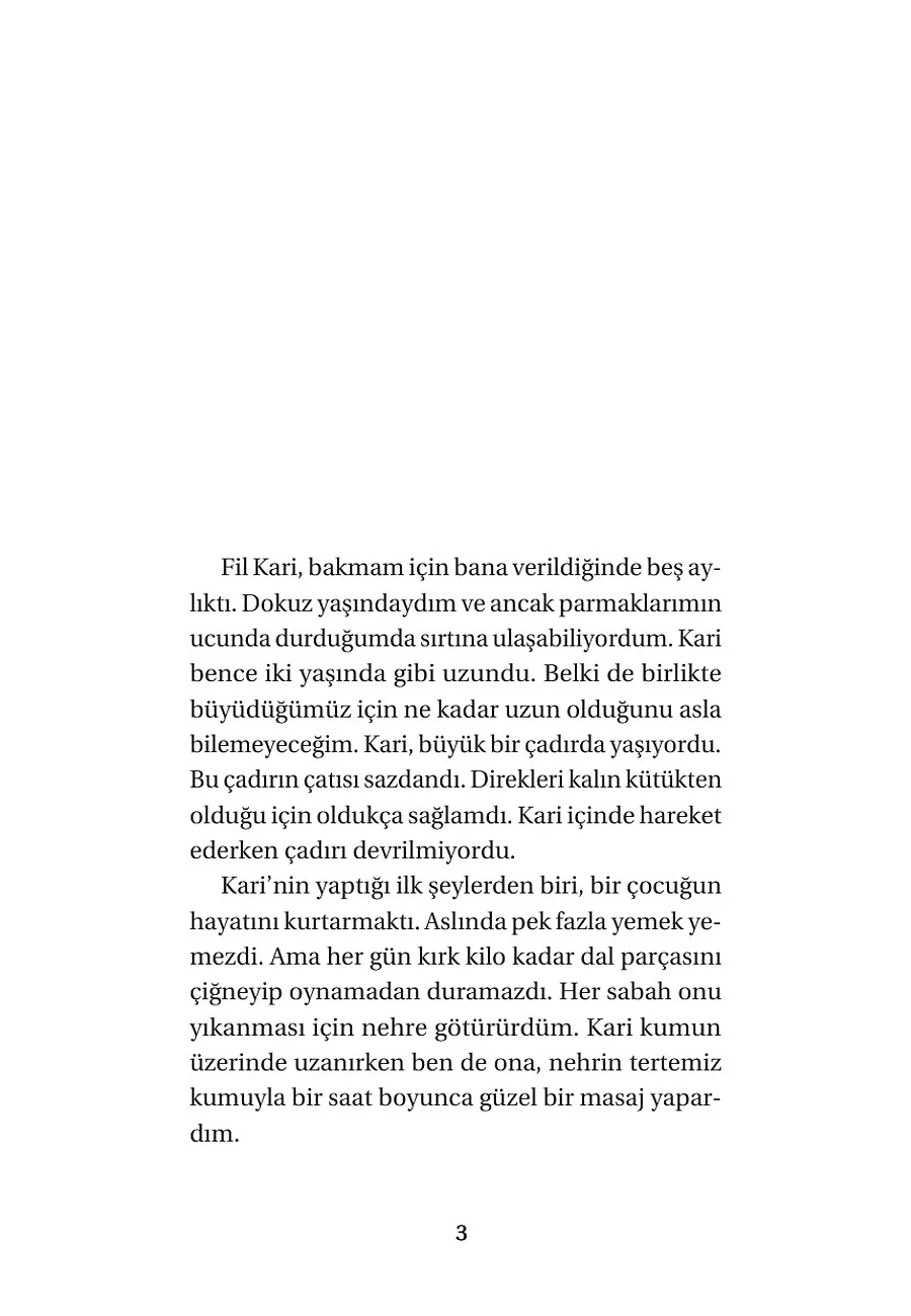 Arkadaşım Fil Kari – Sayfa 1