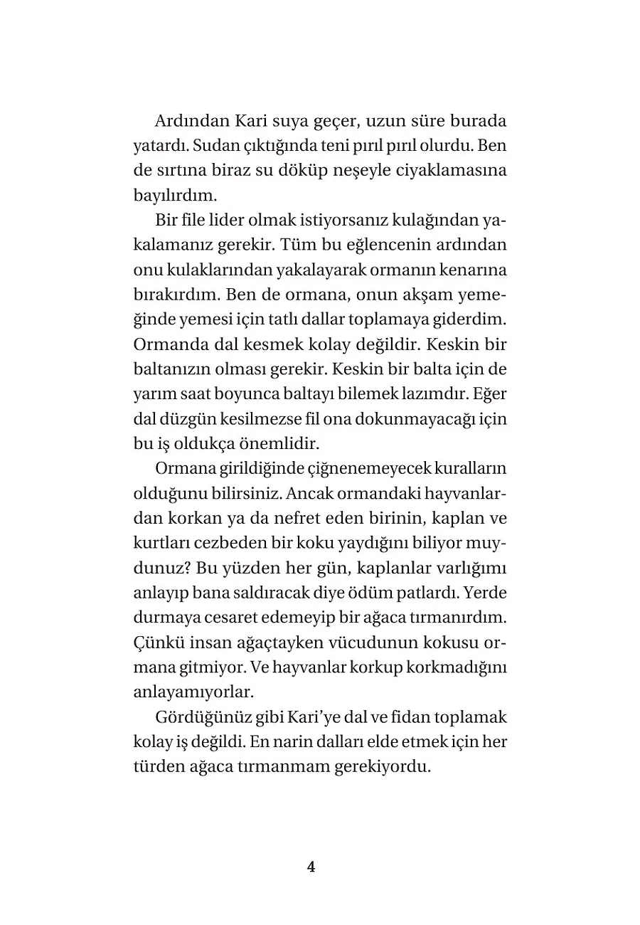 Arkadaşım Fil Kari – Sayfa 2