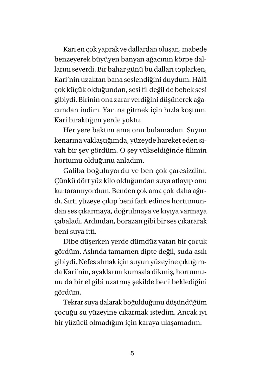 Arkadaşım Fil Kari – Sayfa 3