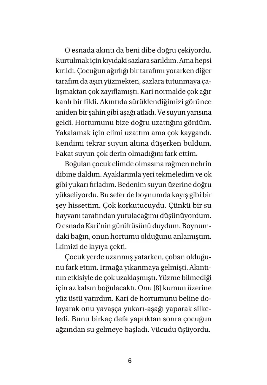 Arkadaşım Fil Kari – Sayfa 4