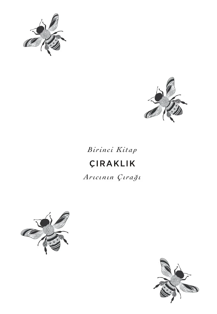 Arıcının Çırağı – Sayfa 3