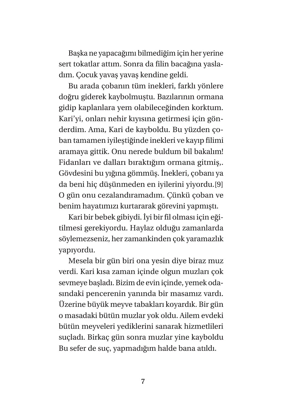 Arkadaşım Fil Kari – Sayfa 5
