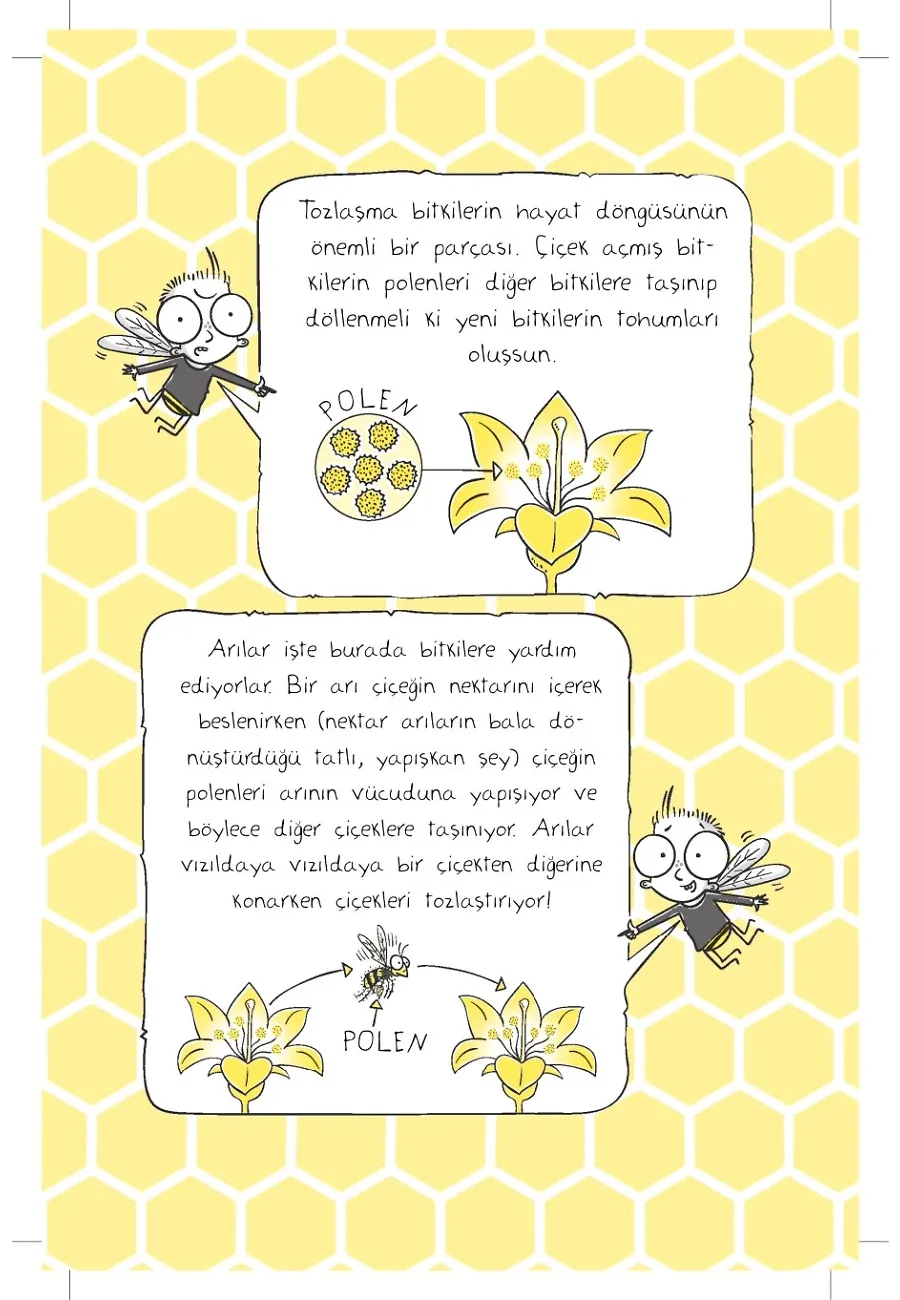 Arı Çocuk - Vampir Kurtçukların Planı (Ciltli) – Sayfa 5
