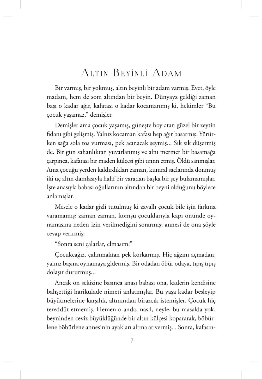 Altın Beyinli Adam – Sayfa 2