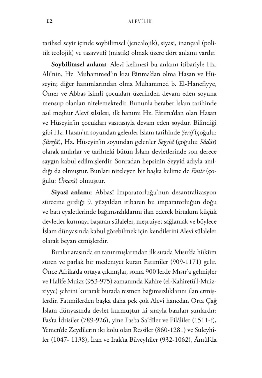 Alevilik: Tarih, Toplum, Siyaset, Teoloji – Sayfa 4