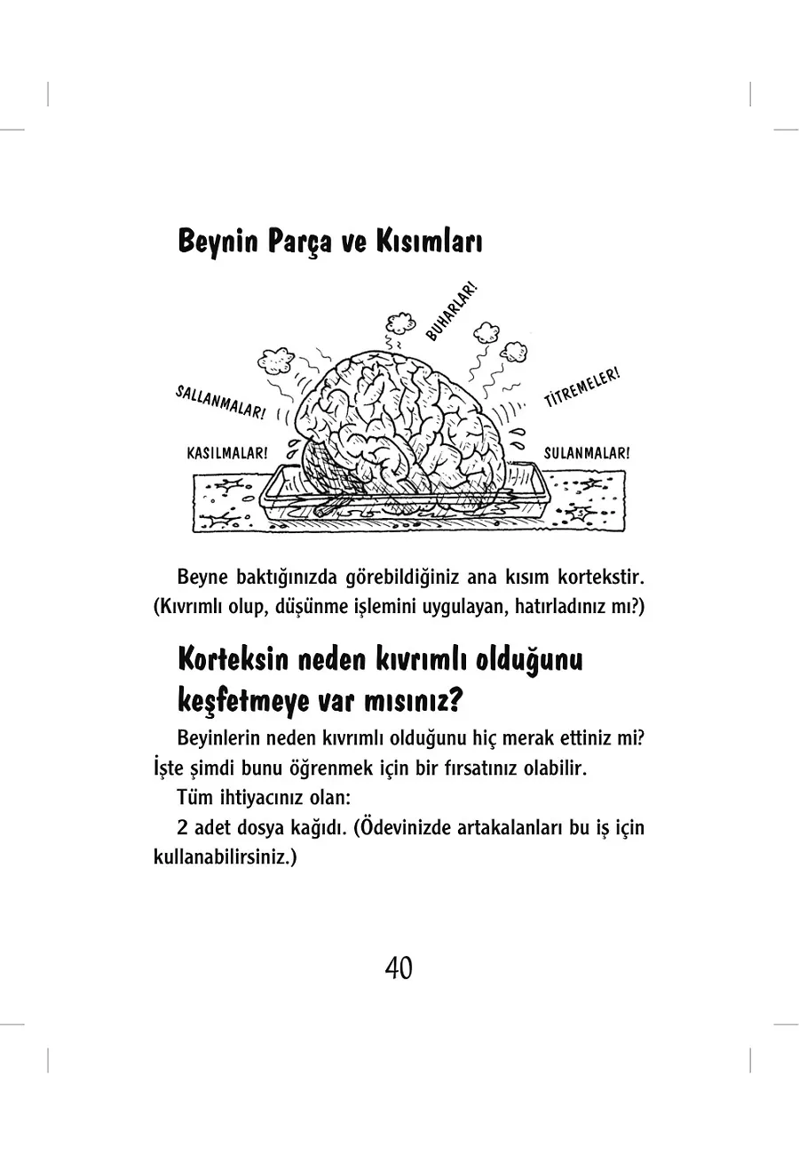 Aklımı Seveyim – Sayfa 3