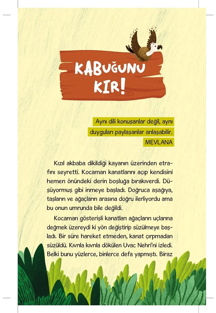 Akbaba Dobrilla'nın İnanılmaz Yolculuğu – Sayfa 2