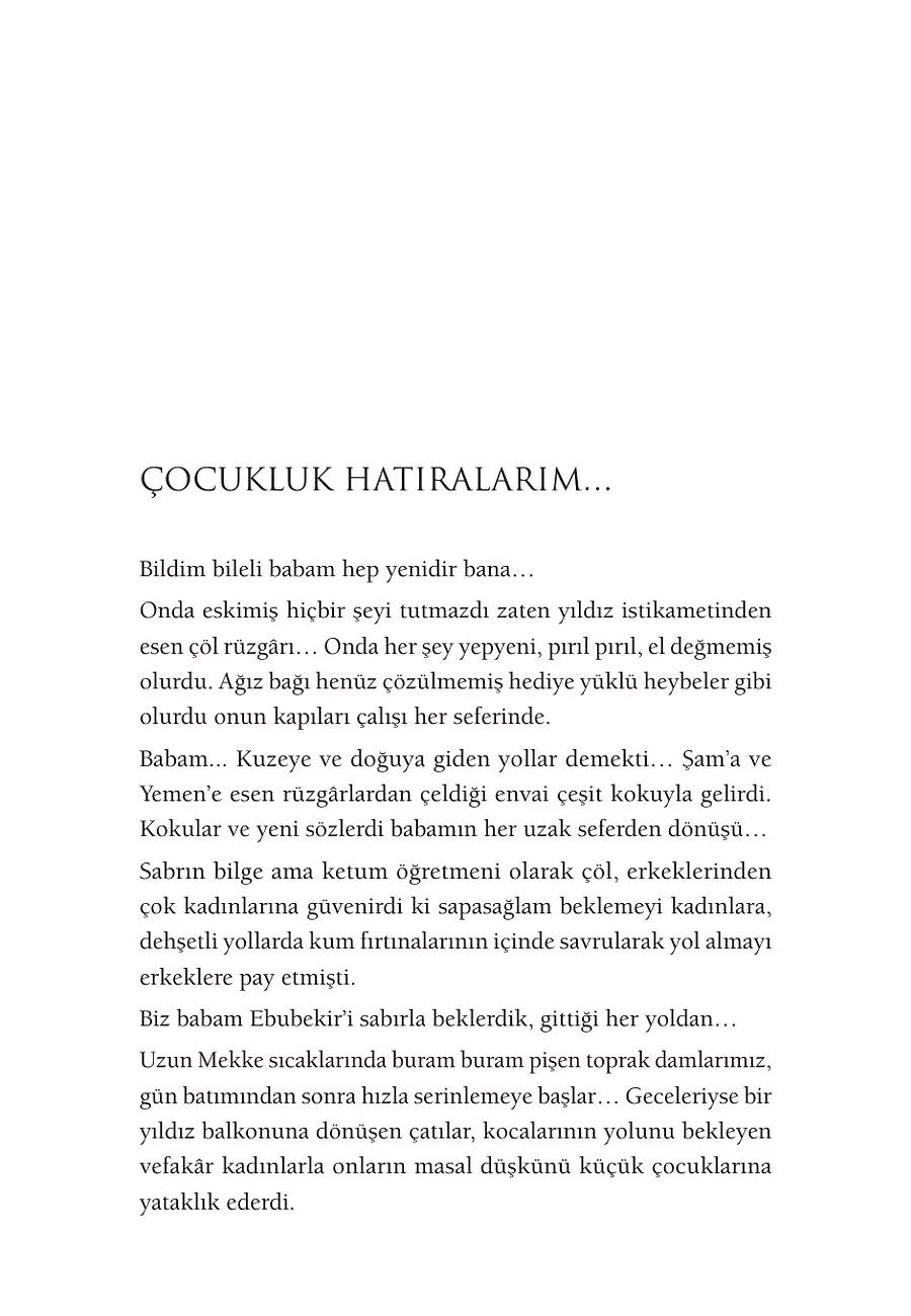 Aişe (R.a.) – Sayfa 2