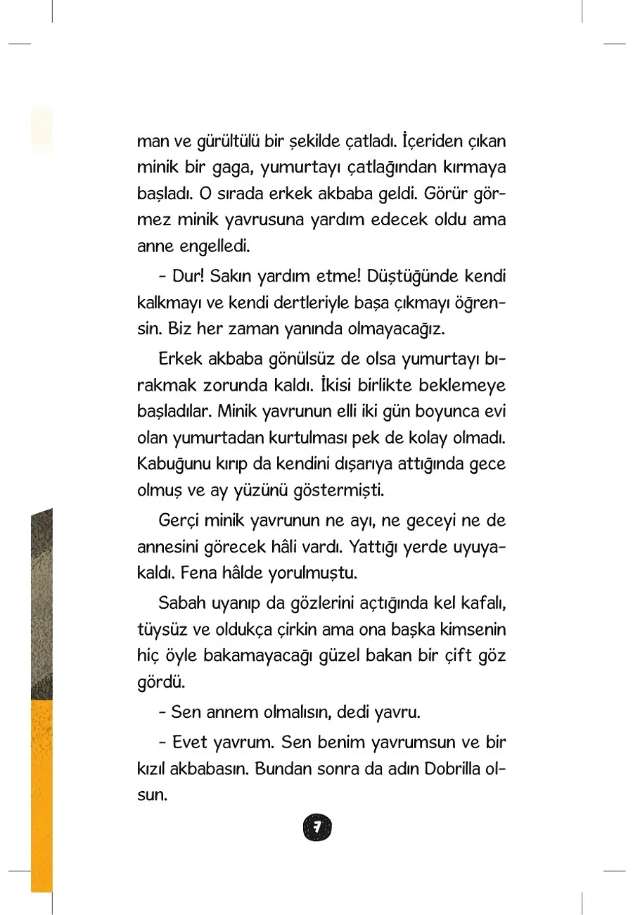 Akbaba Dobrilla'nın İnanılmaz Yolculuğu – Sayfa 4