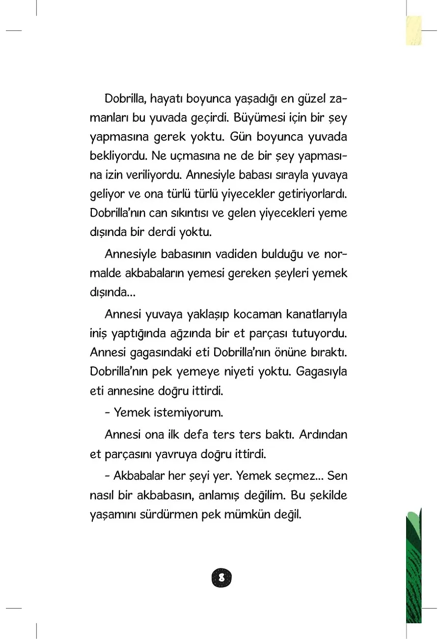 Akbaba Dobrilla'nın İnanılmaz Yolculuğu – Sayfa 5