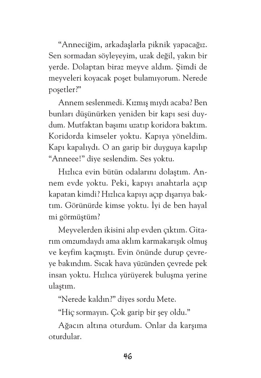Ahşap Evin Esrarı – Sayfa 2