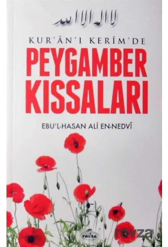 Kur'an-I Kerim'de Peygamber Kıssaları
