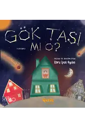 Gök Taşı Mı O ?