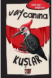 Vay Canına Kuşlar