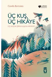 Üç Kuş, Üç Hikaye