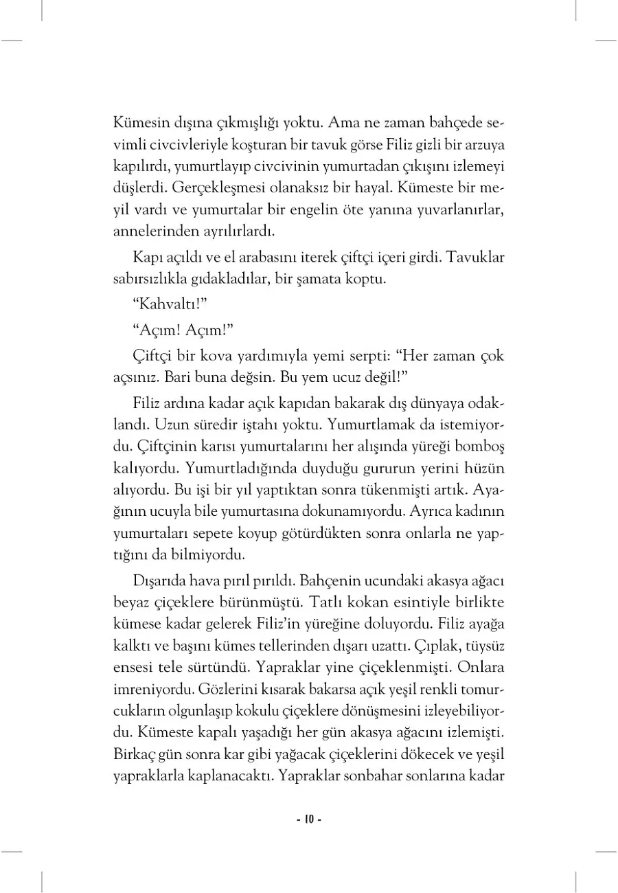 Uçabileceğini Hayal Eden Tavuk – Sayfa 4