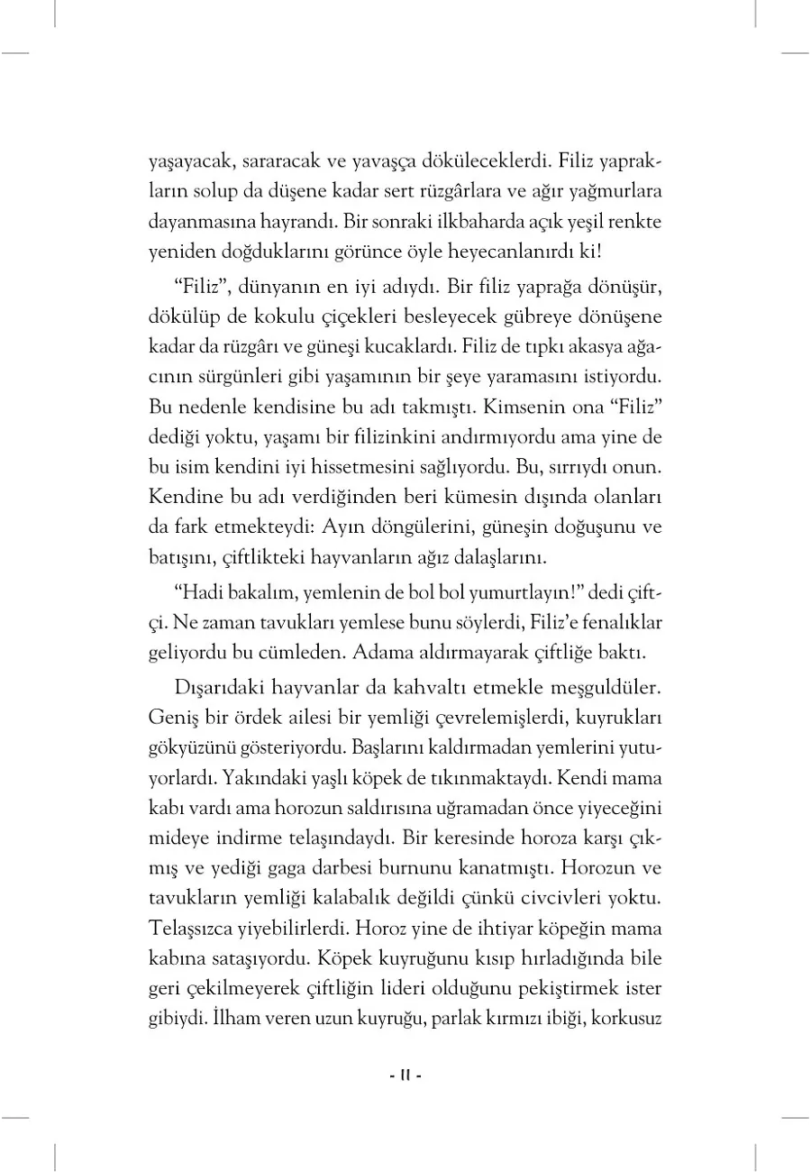 Uçabileceğini Hayal Eden Tavuk – Sayfa 5