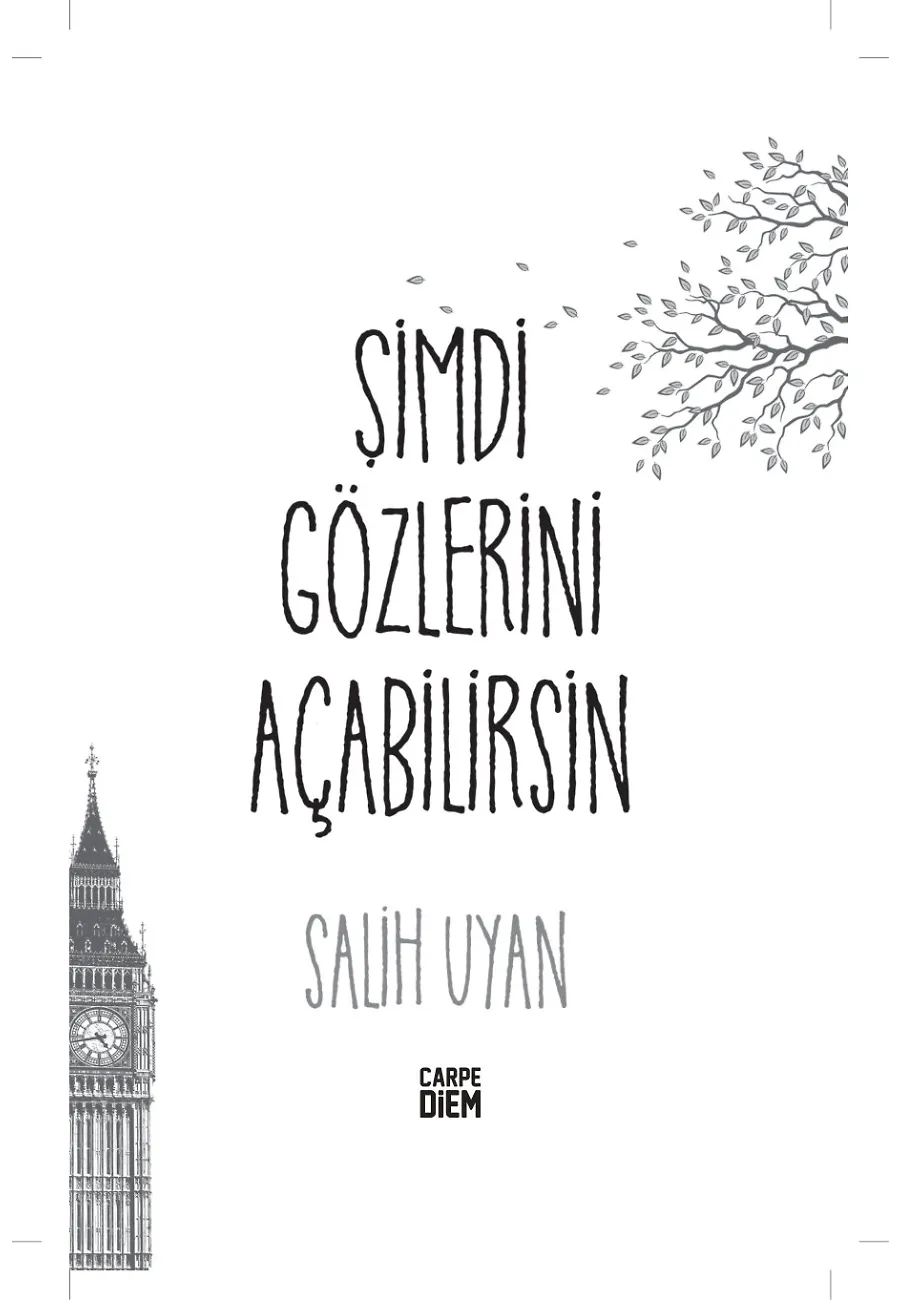 Şimdi Gözlerini Açabilirsin – Sayfa 2