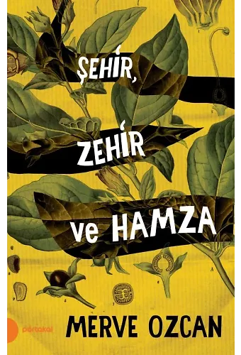 Şehir, Zehir Ve Hamza
