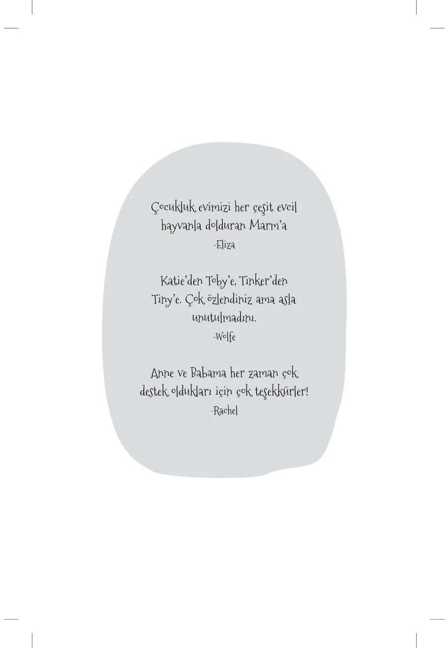 Şaşkın Ellie Belly - Çantanda Kedi Var – Sayfa 1