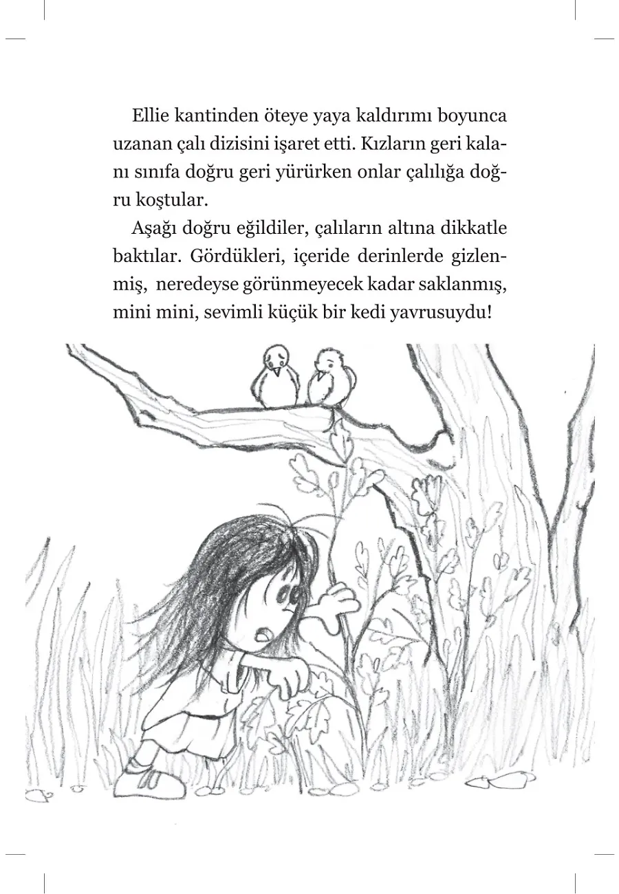 Şaşkın Ellie Belly - Çantanda Kedi Var – Sayfa 6
