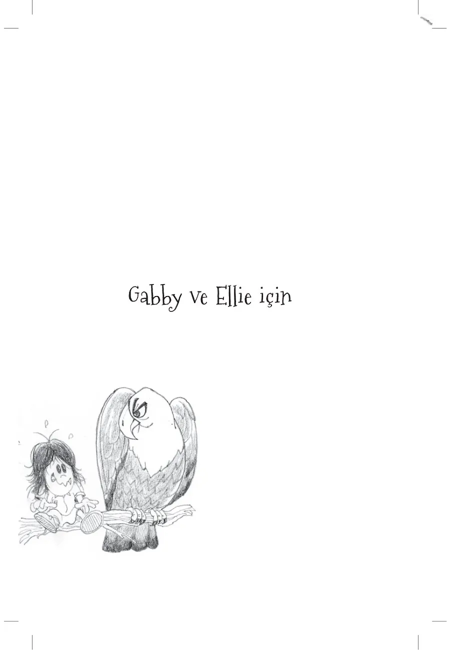 Şaşkın Ellie Belly - Kuşu Takip Et – Sayfa 1