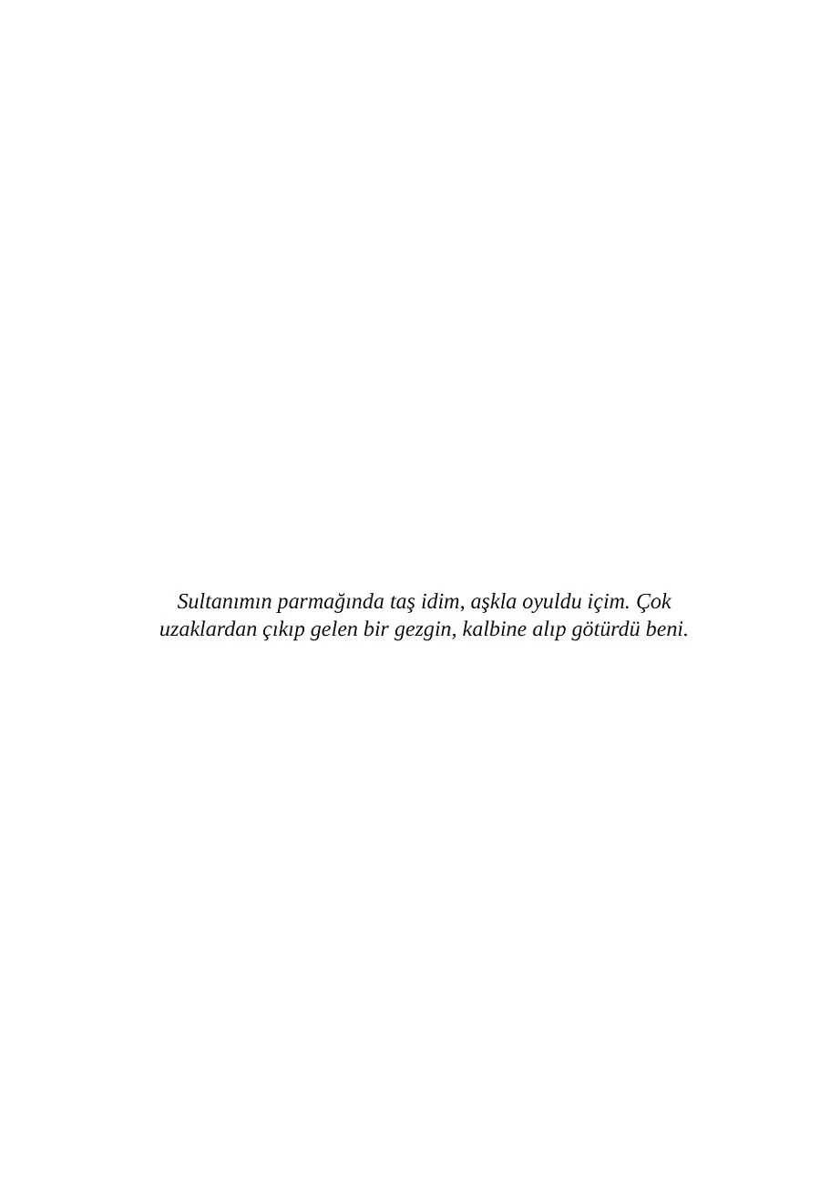 Nakkaşın Sırrı – Sayfa 1
