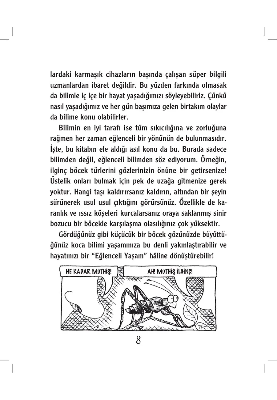 Matrak Böcekler – Sayfa 3