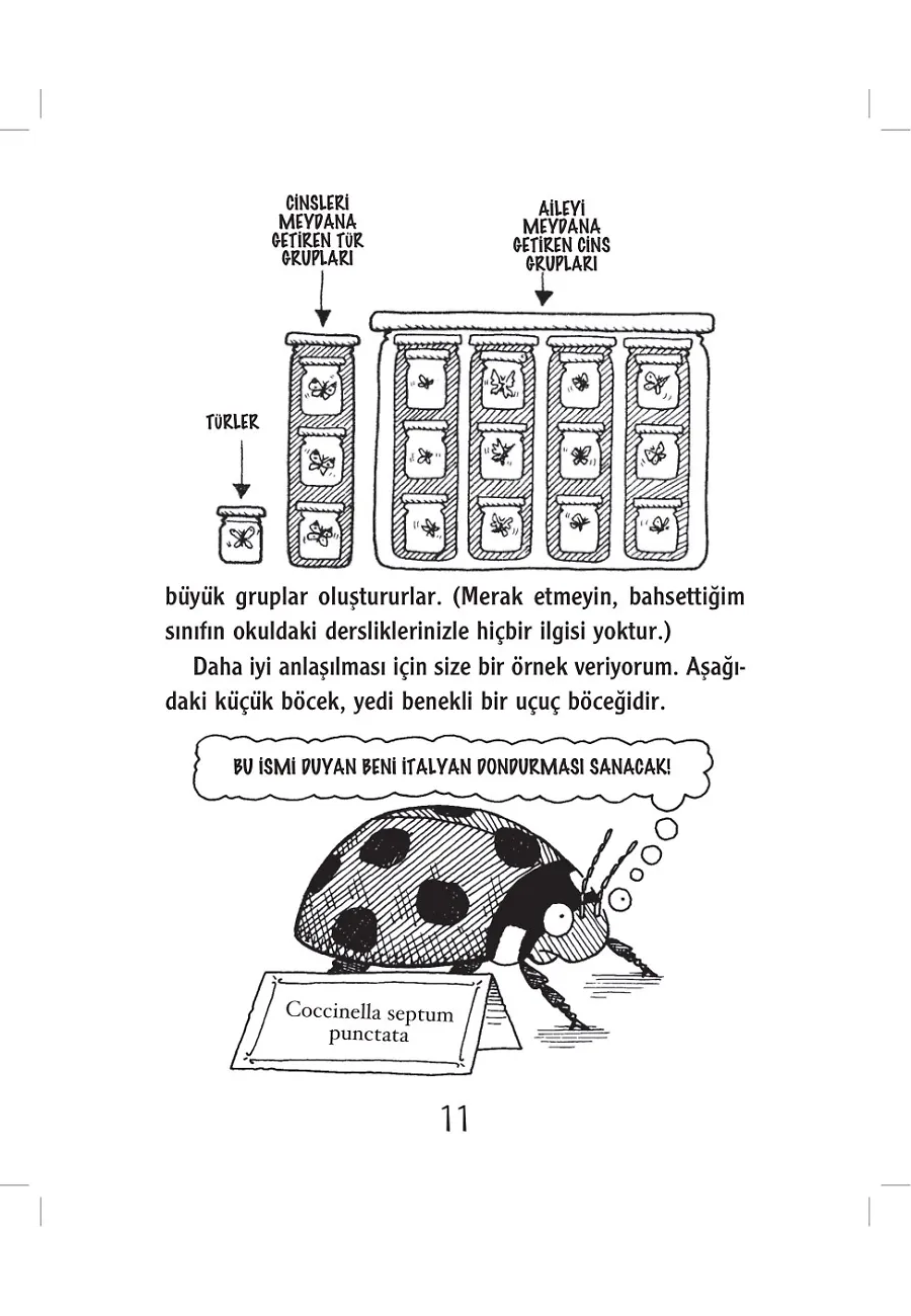 Matrak Böcekler – Sayfa 6