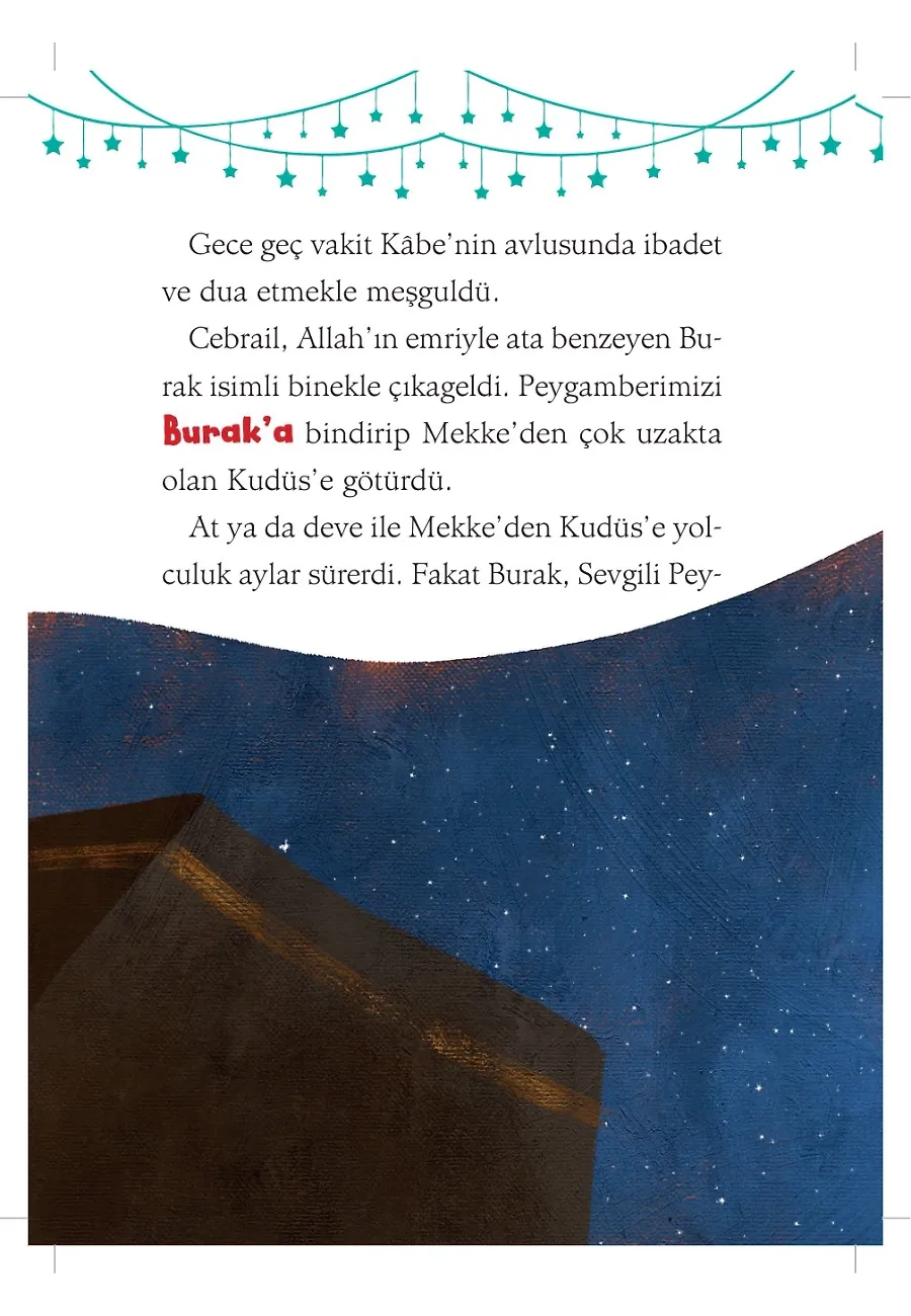 Mağaranın Bekçileri - Mağarada Yalnız Değillerdi - Peygamberimizin Hayatı – Sayfa 2