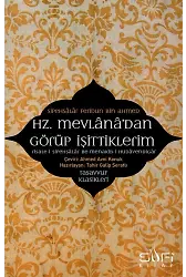 Hz. Mevlana'dan Görüp İşittiklerim