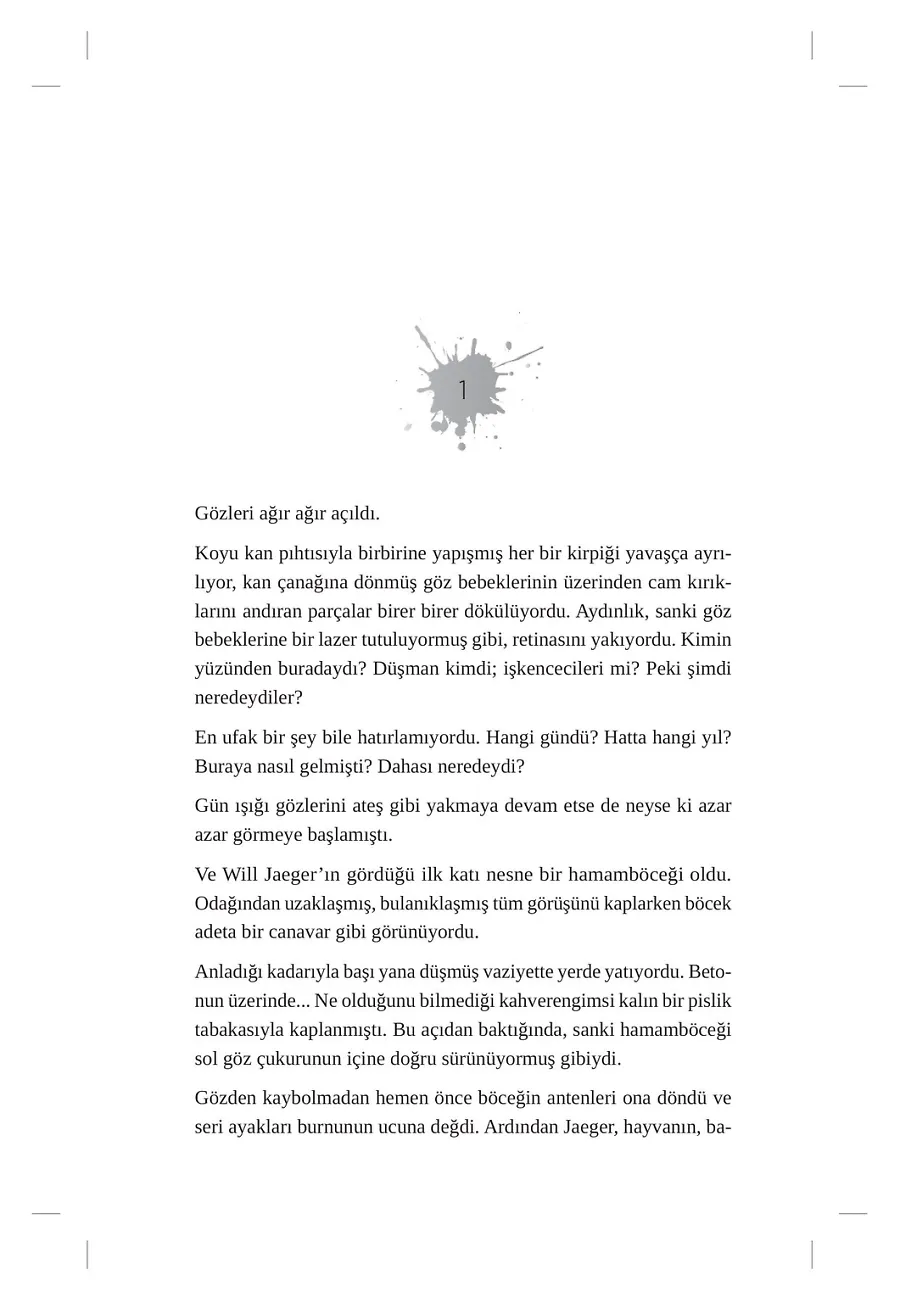 Hayalet Uçak – Sayfa 5