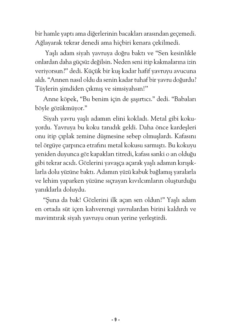 Hayal Kurmaya Cesaret Eden Köpek – Sayfa 3