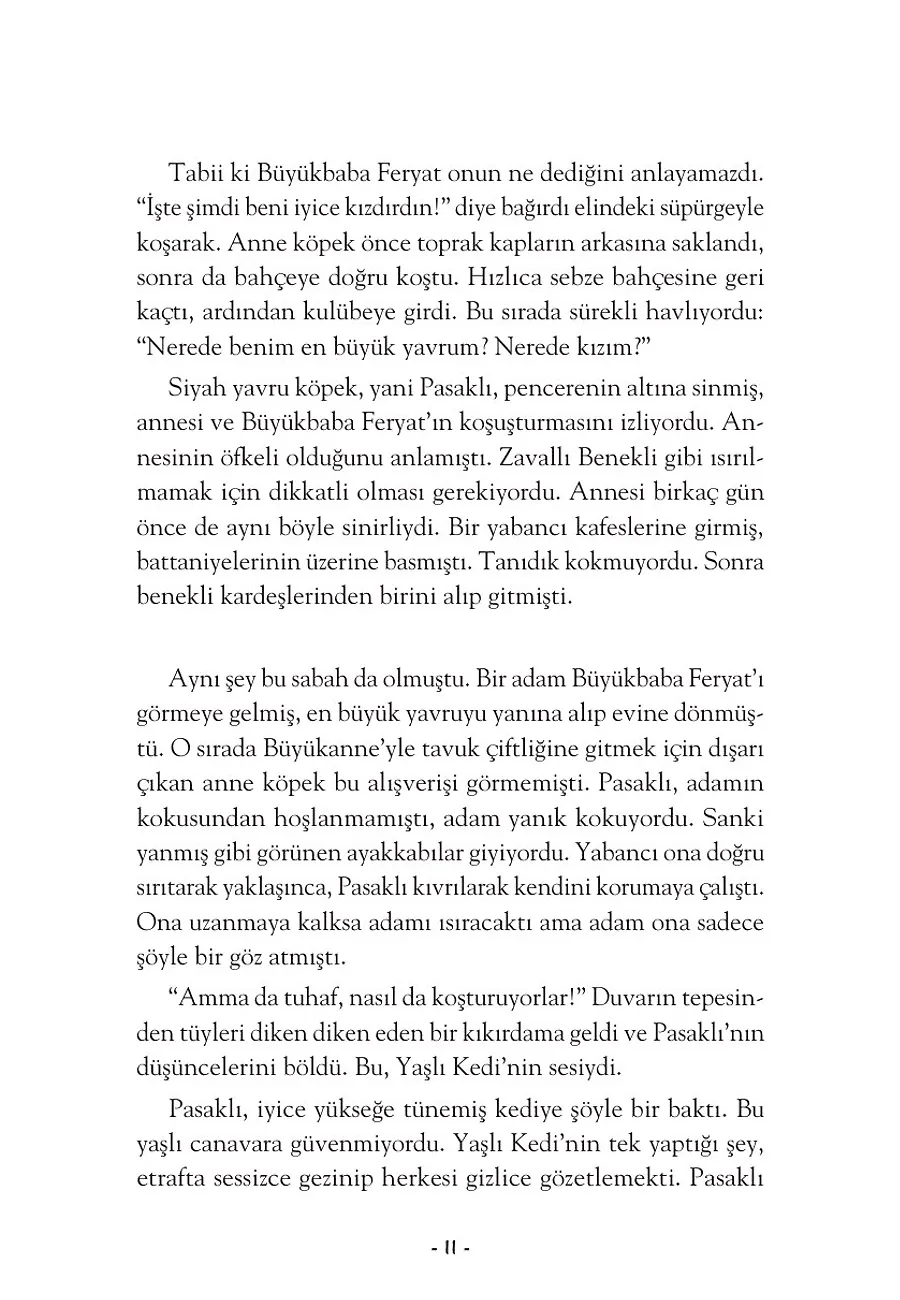 Hayal Kurmaya Cesaret Eden Köpek – Sayfa 5