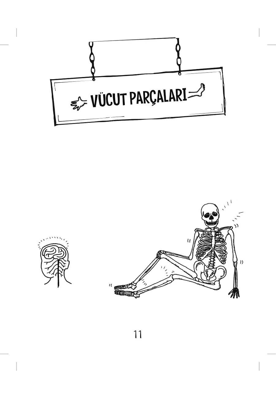 Harika Vücudumuz – Sayfa 2