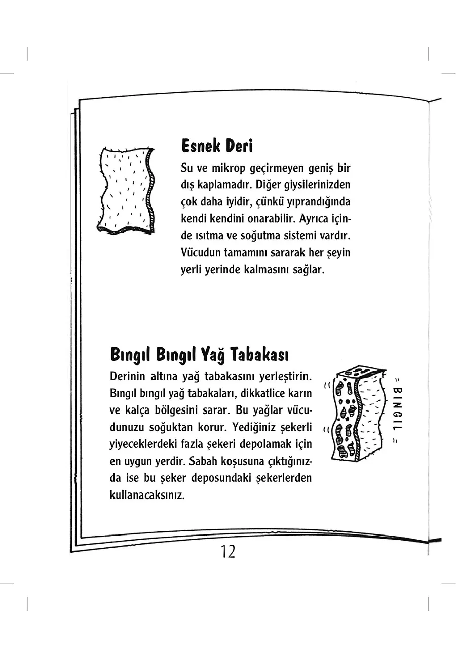 Harika Vücudumuz – Sayfa 3
