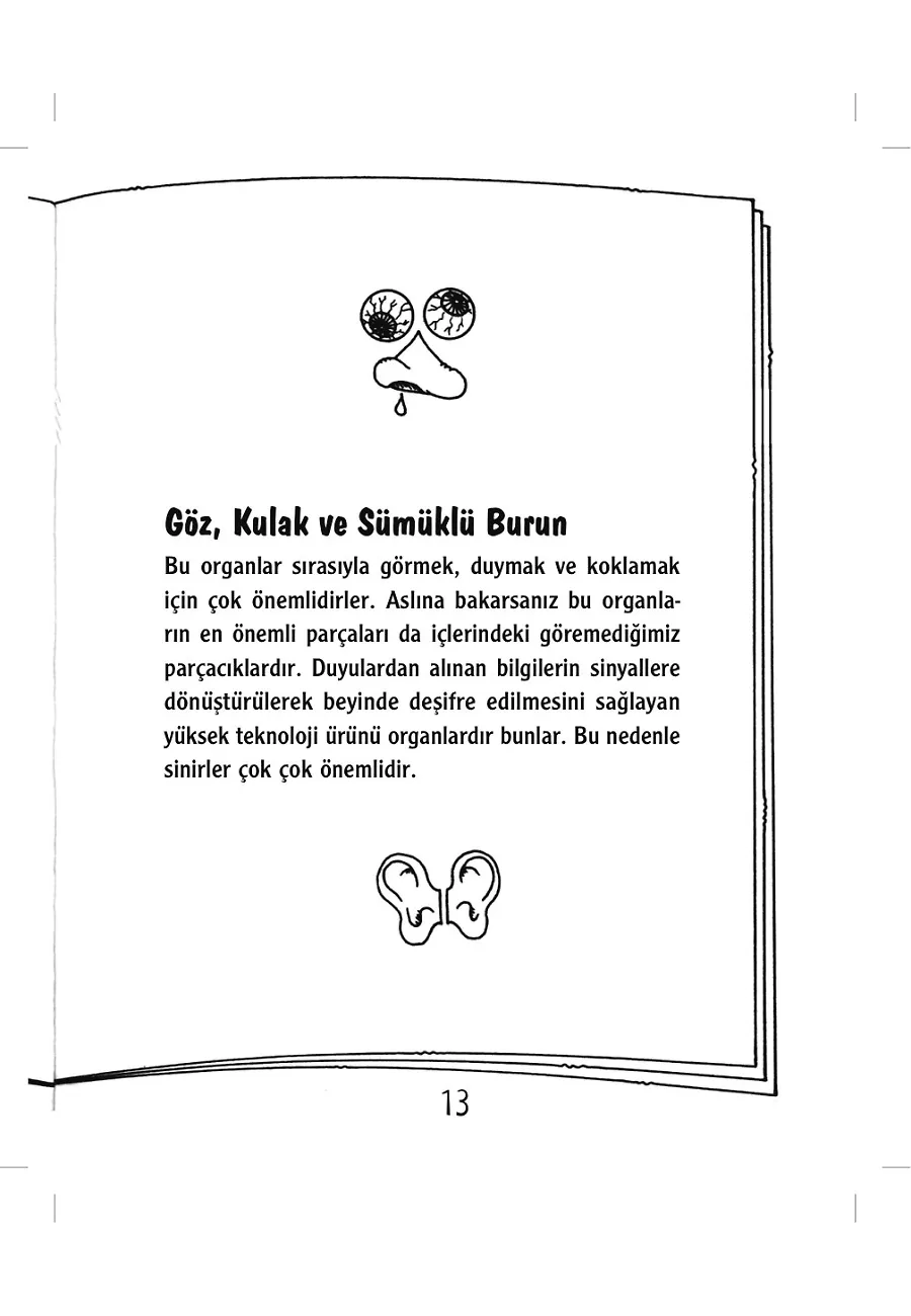 Harika Vücudumuz – Sayfa 4