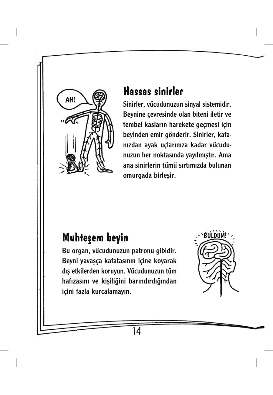 Harika Vücudumuz – Sayfa 5