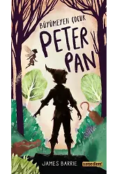 Büyümeyen Çocuk Peter Pan