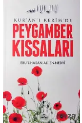 Kur'an-ı Kerim'de Peygamber Kıssaları