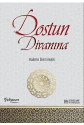 Dostun Divanına - Halime Demireşik