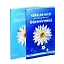 Surelerimizi Tefekkürle Öğreniyoruz (2 Cilt) - Doç. Dr. Veysel Akkaya