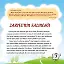 Zarife'nin Salıncağı - Yaşar Koca