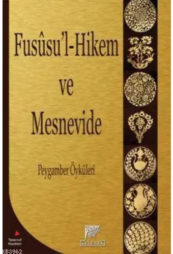 Fusu'l-Hikem ve Mesnevide Peygamber Öyküleri; Peygamber Öyküleri