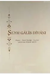 Şeyh Galip Divanı; Hayatı - Edebi Kişiliği - Eserleri - Şiirlerinin Umumi Tahlili